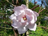 2009-04-20_14-27-36_0132