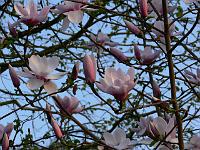 2011-04-20_17-58-01_0018