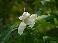 2014-05-22_16-48-29_0041