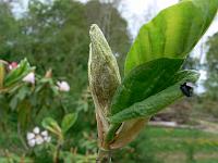 2009-05-04_09-30-01_0065