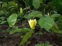 2009-05-19_17-43-34_0061