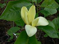 2009-05-22_19-40-54_0073