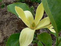 2009-05-24_10-20-14_0126