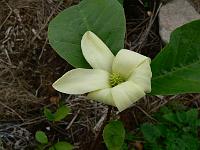 2009-05-24_10-21-08_0133