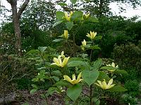 2009-05-24_10-21-34_0137