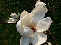 07-05-2006_19-11-02_89