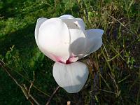 16-04-2007_08-53-27_141