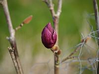 2014-04-04_09-03-23_0125