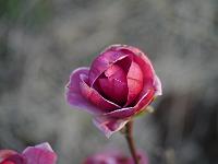 2014-04-22_19-06-01_0054