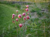 2014-04-26_19-04-40_0046