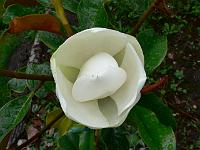 2009-07-18_12-35-59_0004