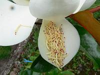 2009-07-19_16-42-12_0078