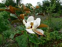 2009-07-20_15-00-49_0018