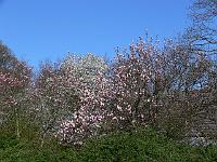 2009-04-21_09-16-26_0097