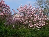 2009-04-26_16-27-52_0286