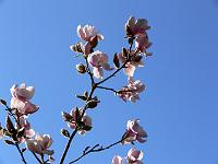 11-04-2007_15-49-14_144