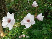 2009-04-26_16-38-31_0357