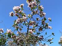 2011-04-25_08-32-54_0177