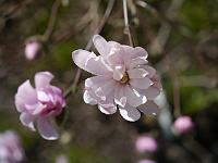 2012-03-30_13-44-25_0091