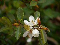 2013-04-07_14-14-46_0004