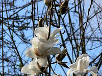 07-04-2007_18-23-52_58