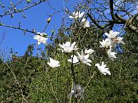 11-04-2007_15-50-10_159