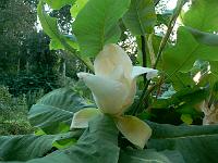 2009-06-26_19-55-57_0097