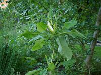 2012-06-21_19-48-46_0073