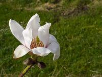 2014-04-10_08-21-25_0097