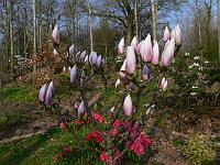 2011-04-22_08-00-36_0005