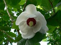 2011-06-14_08-30-52_0054