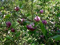 28-04-2007_17-08-07_48