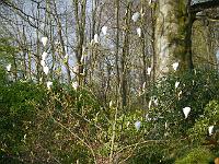 2014-04-22_08-12-46_0021