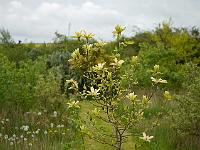 2014-05-12_10-05-47_0023