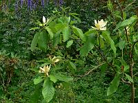 2008-06-19_12-45-03_0033