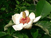 2008-05-29_07-12-06_0169