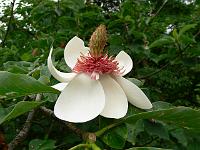 24-06-2006_17-32-16_17