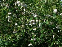 26-05-2006_19-13-59_14