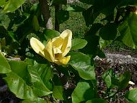 2011-05-19_09-07-13_0129