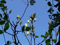 2009-04-30_07-12-40_0061