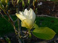 2011-04-26_17-33-32_0205