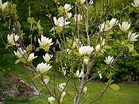 2012-05-14_13-49-58_0051