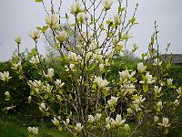 2013-05-19_07-52-45_0059