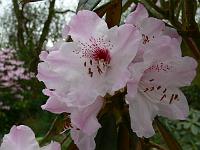 11-04-2007_09-01-09_16