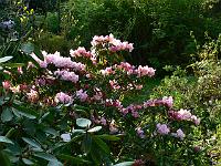 2009-04-30_07-07-50_0044