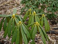 2012-03-15_10-40-19_0019