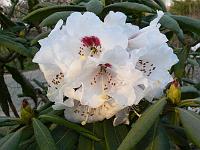 01-04-2007_18-26-02_21