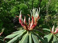 04-06-2006_11-05-58_65