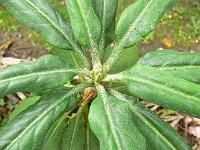 09-06-2006_10-51-48_57