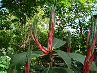 29-05-2006_17-07-30_158